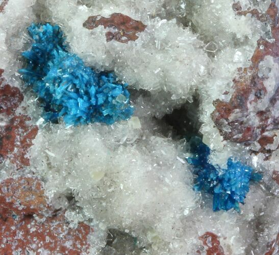 Vibrant Blue Cavansite Clusters on Stilbite - India #67795